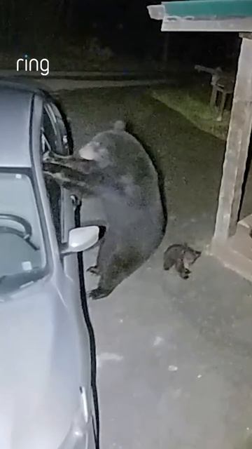 | MemLand | Приятного просмотра!