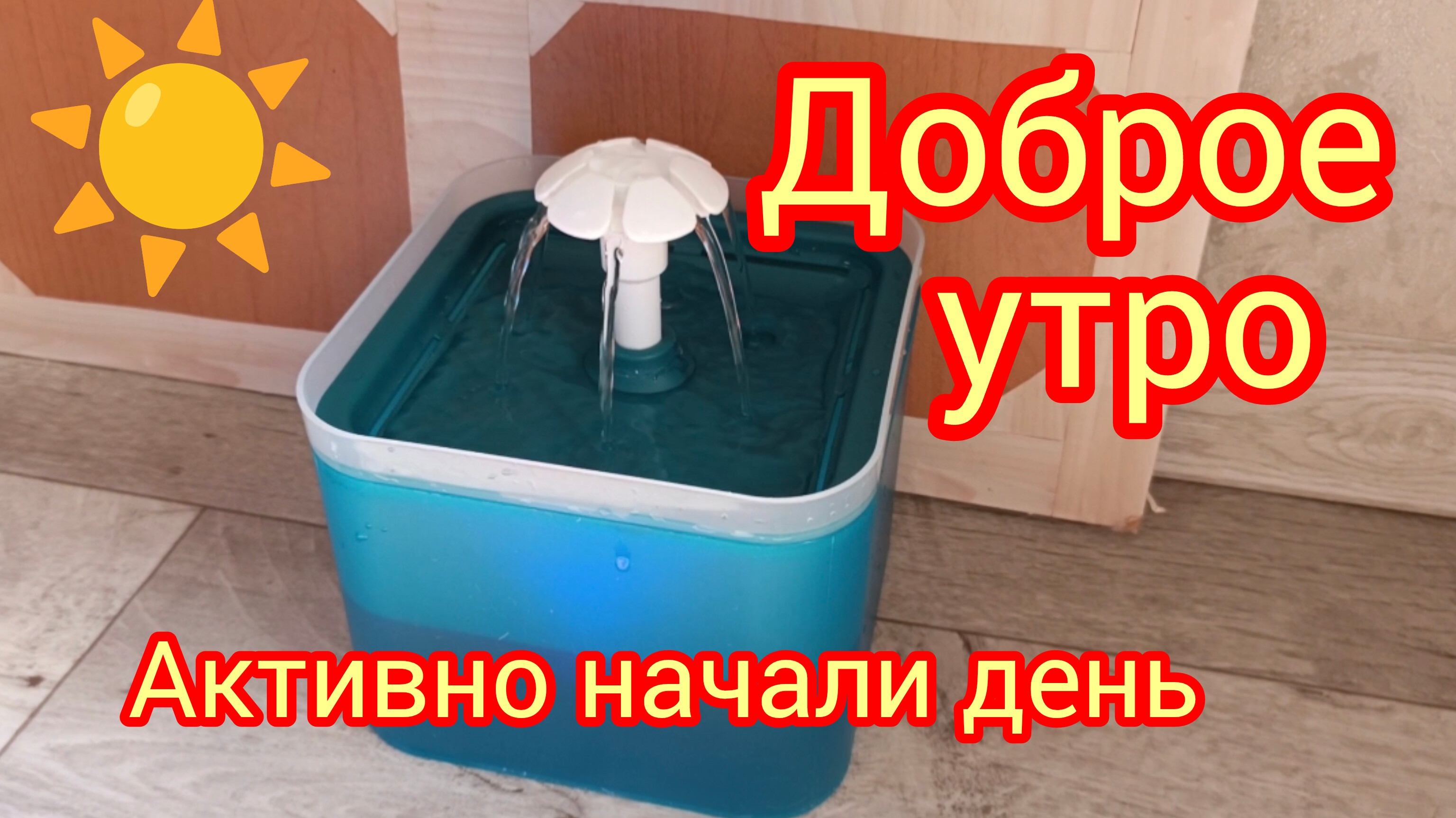 Утро доброе29-06-2025 #обзор #жизнь как есть #жизнь инвалида