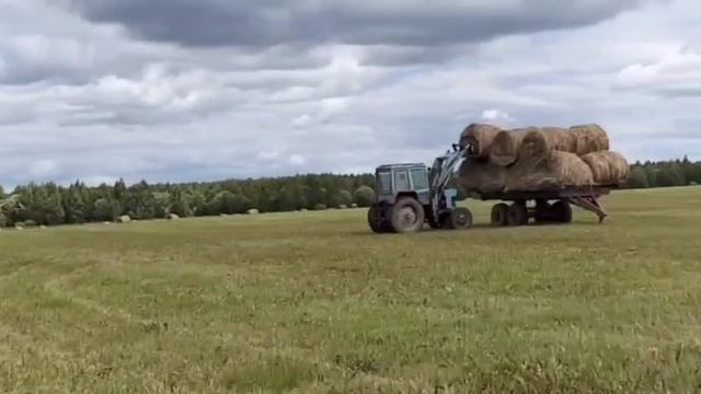 сенокос