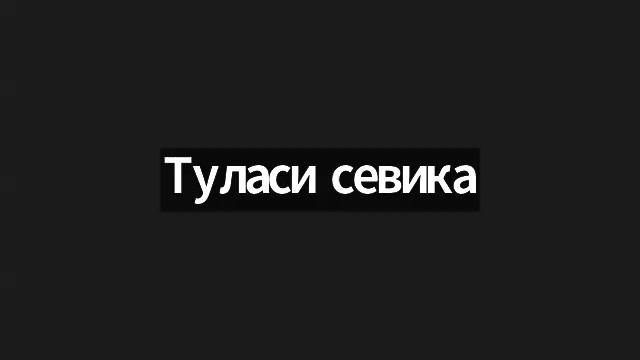 29/06/25 ШБ 2.8.24 - ЕМ Сингхешвара пр