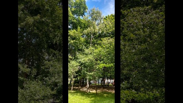 26 июня   прогулка со мной .часть вторая
