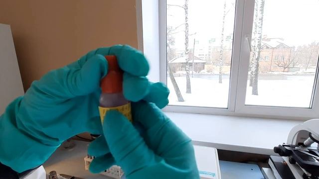 Микробиологическая диагностика менингококковой инфекции
