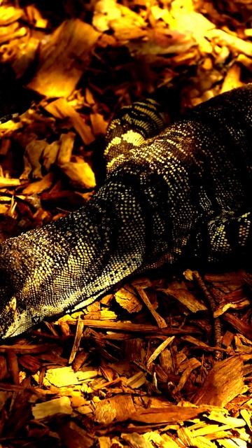 Реальные моменты