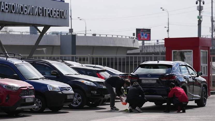 Эксперт дал советы по поиску автоподборщика