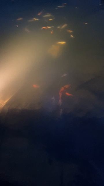 29-06-2025