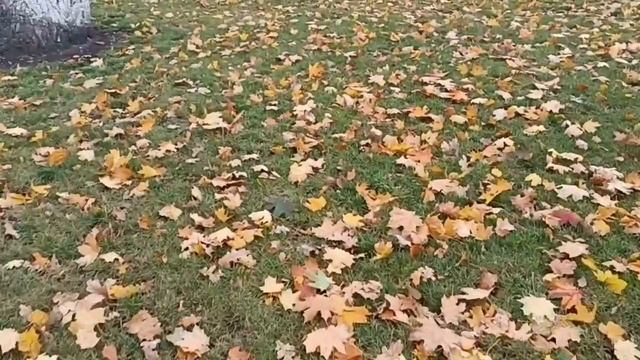 АРТУР*ЖИЗНЬ ОДНА*Самая лучшая песня🎵🎶🎤. Конечно 💯.