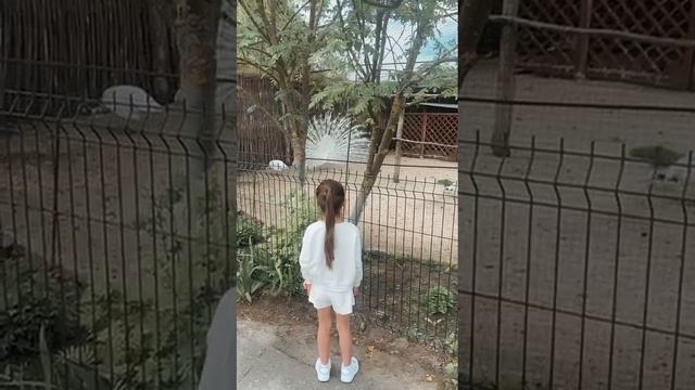 В зоопарке с папой