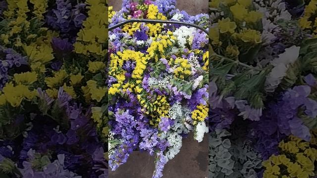 Первая срезка статица в 2025 г. 29 июня!!!