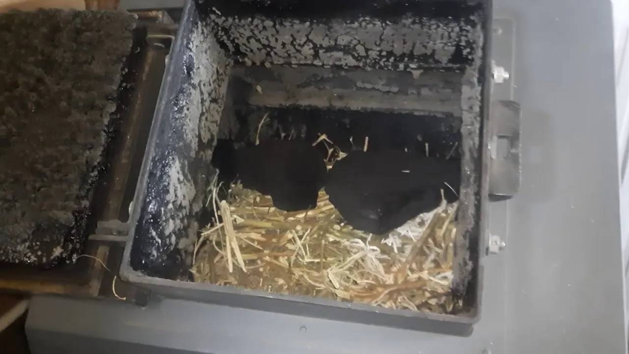 Котел неделька К0 - 60 работа в межсезонье