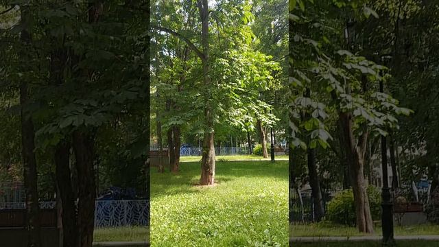 26 июня 2026 года прогулка  со мной часть первая