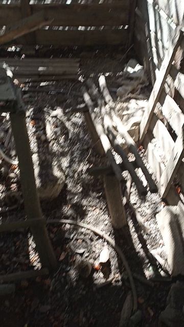 что можно сделать с заросшим участком земли