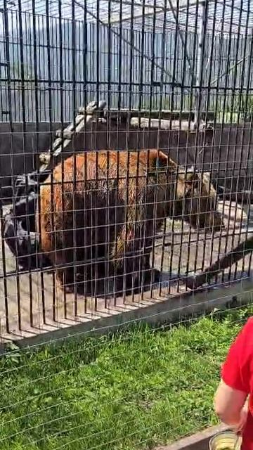Серьёзный парень Мишка😁