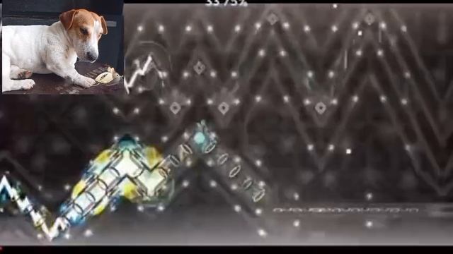 1000030018.mp4
