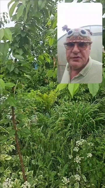 Лечение ног, спины на рассу.