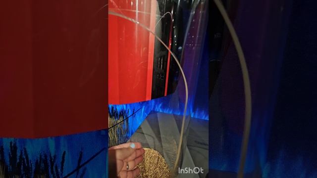 Выставка "Путешествие по России " часть 3