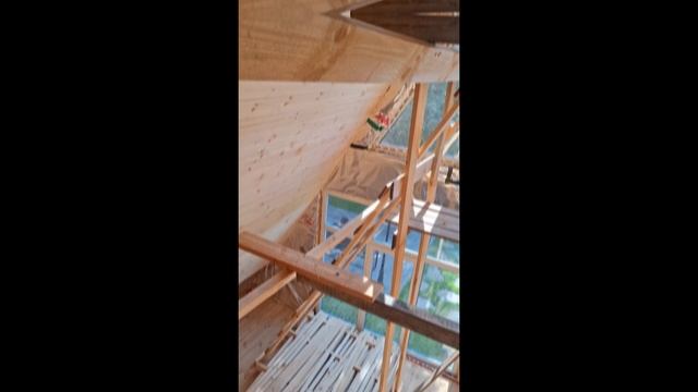 1000027855.mp4 (Собака наблюдает за креплением имитации бруса внутри дома А-фрейм)