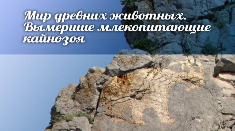 Вымершие млекопитающие # 9. Южноамериканские копытные