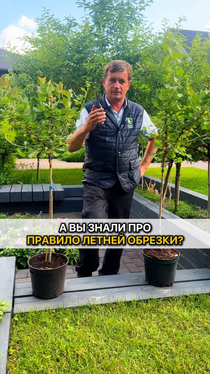 ГЛАВНОЕ ПРАВИЛО летней обрезки!