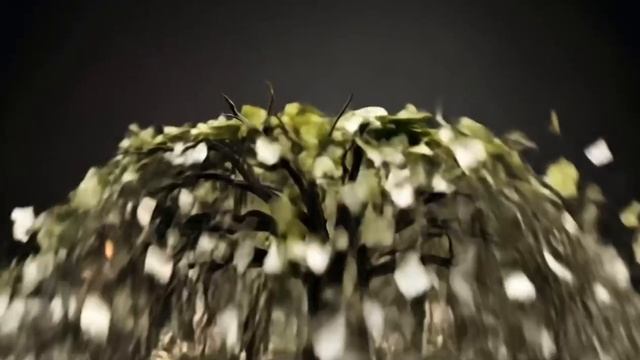 ДЕНЕЖНОЕ ДЕРЕВО