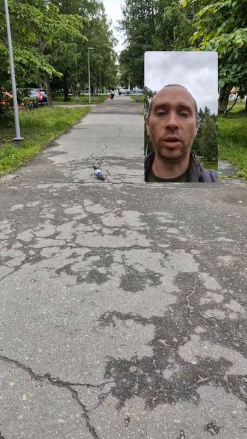 По Троицкому водители ездить не любят, так как типа плохое покрытие, но на тротуарах тоже не очен...