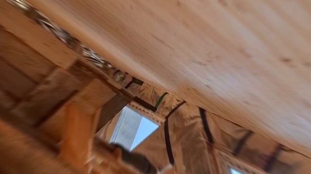 1000027854.mp4 (Собака наблюдает за креплением имитации бруса внутри дома А-фрейм)