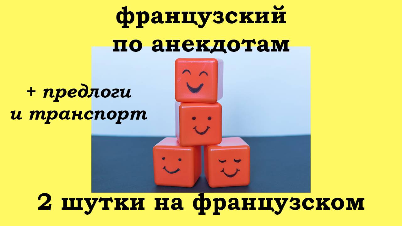 Французский язык по анекдотам, 2 шутки, транспорт, блохи и чипы