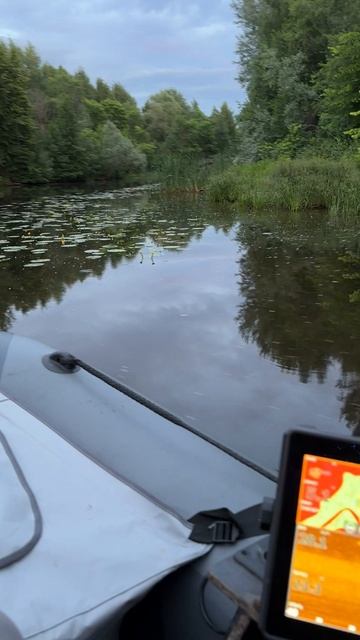 Прекрасные виды маленькой лесной реки!