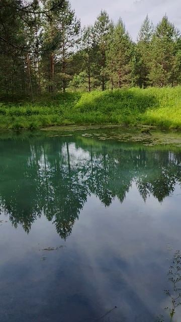 Бездонный родник. Городищи.