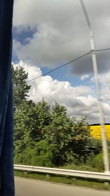 В Анапу  29.06.2025г.