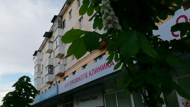Так цветут у нас каштаны