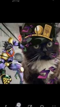 ЧМОНИИ😍❤❤❤❤💖💗💣💥