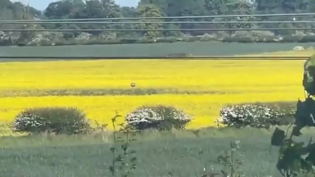 Вращающаяся Сфера в Нидерландах