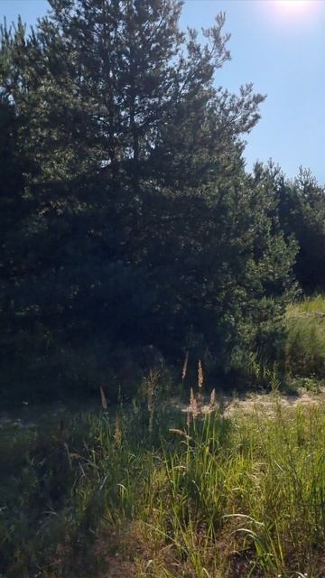 Обзор 3-модульного дома в Егорьевске!