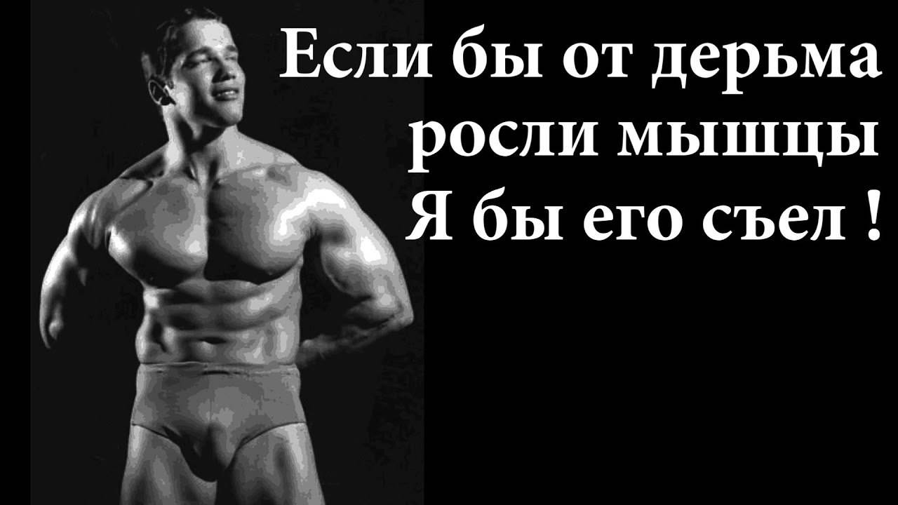 Арнольд_которого_ты_не_знаешь_химия,_пр0ститутки_и_мужики