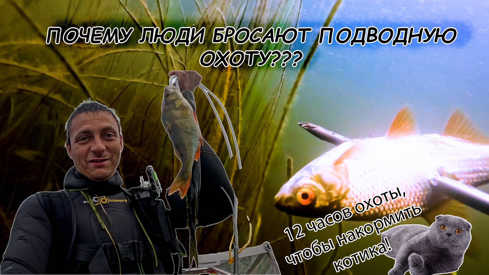 Почему люди бросают подводную охоту?