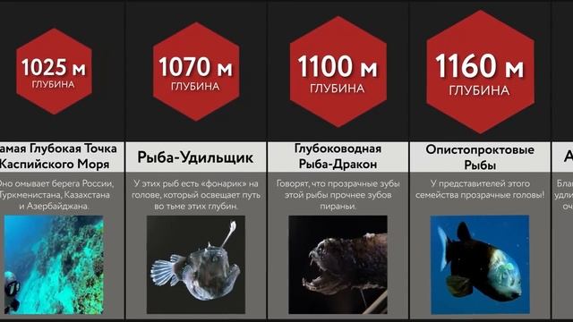 Путешествие На Дно Океана