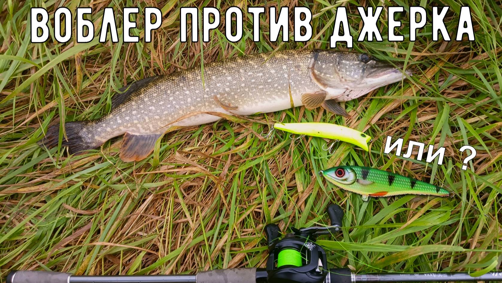 Воблер или Джерк ??? что выбрать для рыбалки на щуку ? Лето ! сложно поймать щуку ? ... НЕТ