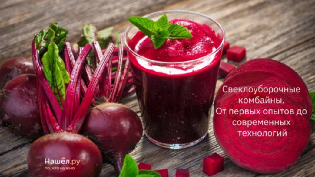Свеклоуборочные комбайны. От первых опытов до современных технологий