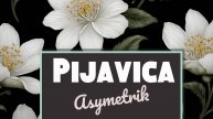 Pijavica (prod. by Asymetrik) / instrumental hip-hop / 90 BPM