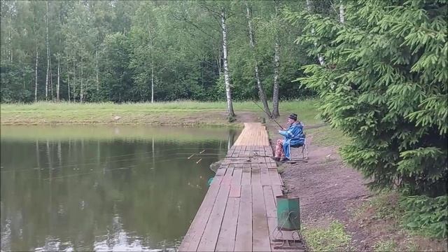 Утренний обзор с нижнего водоёма. Клёвое место, Лосиный остров.