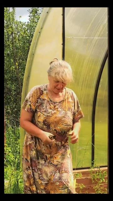 Продолжение нашей истории.