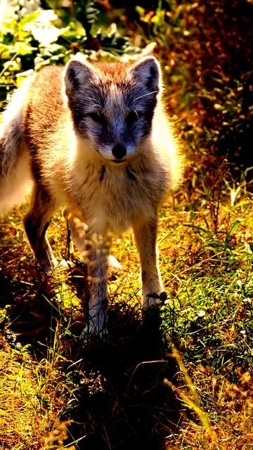 Неожиданные события