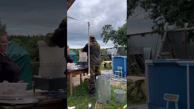 Покупки. Перепела. Рыбалка