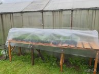 Парник-череночник