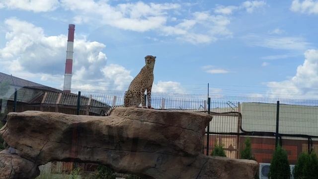 Влог Казань #2