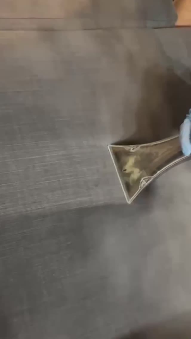 Устранение мочи с дивана | hmchst.ru