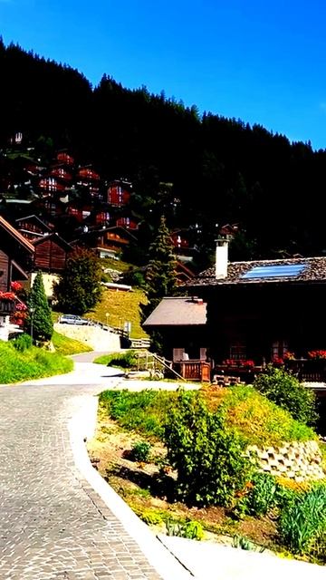 Камера зафиксировала эмоции