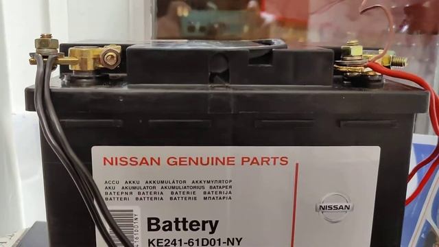ЗУС Версия 7 Профи/Nissan Battery 60Ач (8). Заряд в режиме Standart(STD) 20Ah^3^.