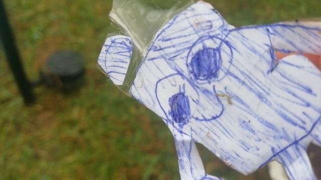 VID_20250630_192630.mp4