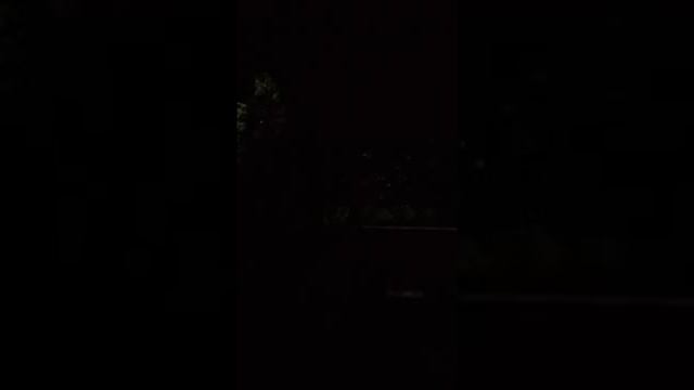 травят даже в ливень ночью